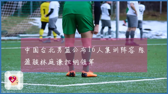 中国台北男篮公布16人集训阵容 陈盈骏林庭谦担纲领军